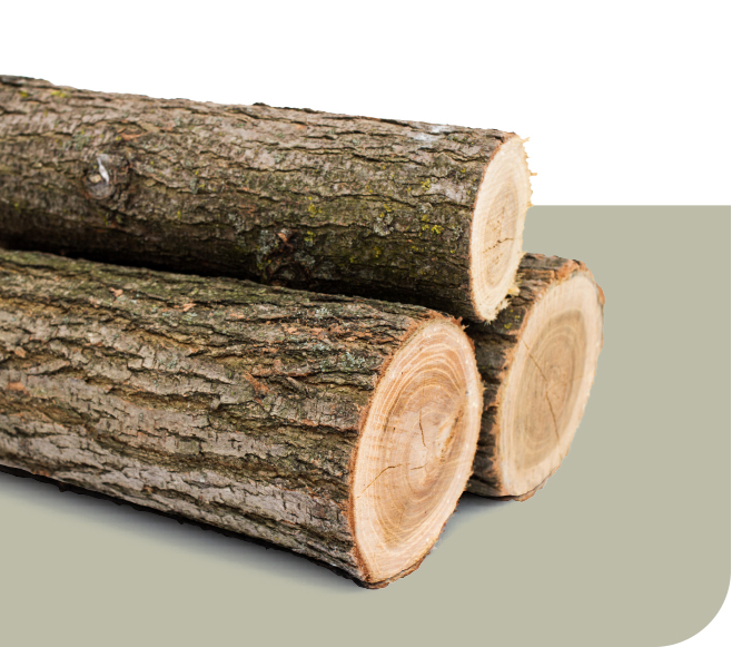 8ft Logs Firewood